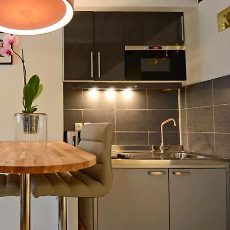 Short Group Temple Serviced Appartement Paris
