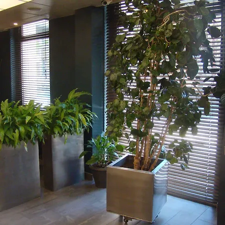 Montparnasse Alesia 3* פריז