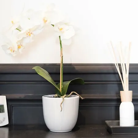 Luxury In Saint-germain Apartment