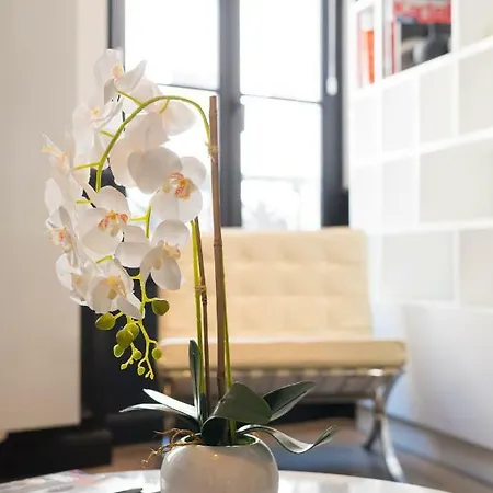 Luxury In Saint-germain Apartment Paris