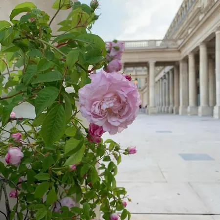 Near Louvre, Appartement *